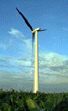 Wind energy Wind turbines capture the wind's energy with two or three propeller-like blades,