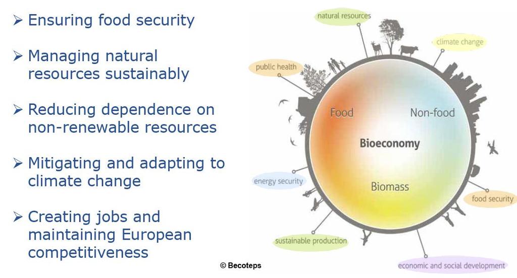 European Bioeconomy Grand Challenges 3 1.