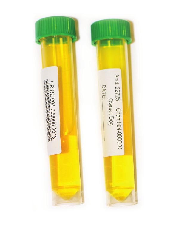 After centrifugation, remove the Vacutainer cap from each of the four serum tubes (Red tops) and using the 3 ml transfer pipette provided (DO NOT POUR), transfer the serum as follows: Place 1.