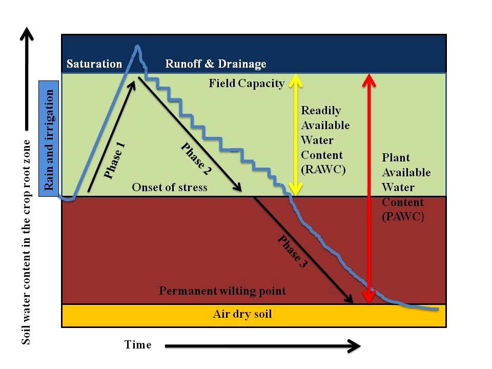 The intended message is: Phase 1, water is entering the field; Phase 2, the crop is growing; and Phase 3, growth is slowing and yield is being irretrievably lost. Fig. 2 Soil water phases.