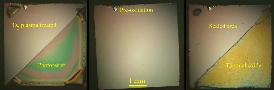 Figure 2.3. GaAs sample patterned with photoresist (left), after oxygen plasma treatment and solvent clean (center), after thermal oxidation at 420 C for 90 minutes with 0.2% O 2 /N 2 (right).