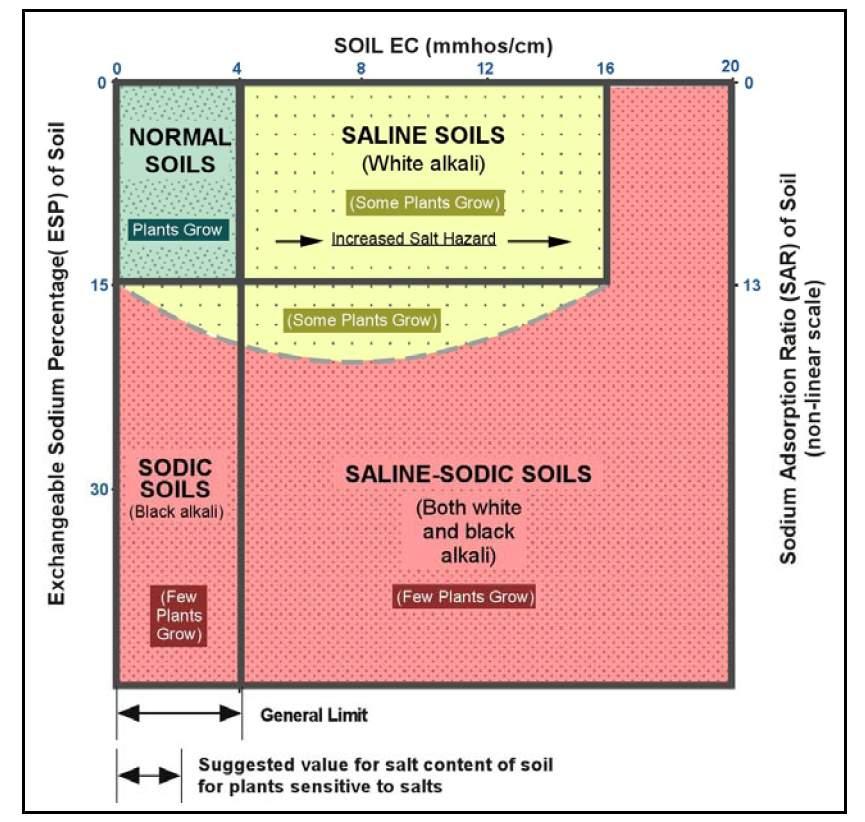Classification of Salt Impacted Soils Typical RAO Target Sea Water Average levels of salt and sodium in produced water are so high