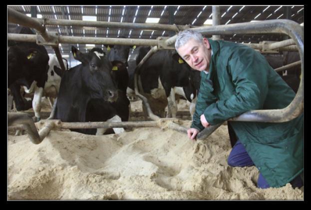 1093990 Becky Murray/RSPCA Commercial dairy cattle production There are approximately 1.8 million dairy cows in the UK 3.