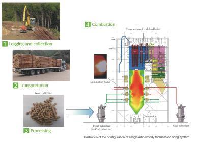 Co-firing with a high-ratio (33%) of woody biomass to make the most of