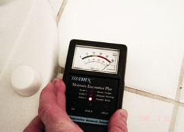 moisture meter confirmed that the floor around the toilet was soaked (E, F).