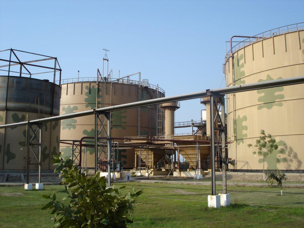 Shakarganj Mills Ltd,