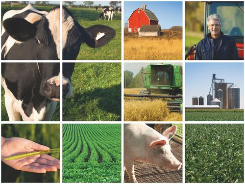 Comprehensive Approach to Science: REE Roadmap for USDA Science Vision to deliver the research, tools, & statistical data needed to meet the needs of