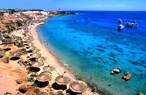 CONFERENCE VENUE The conference will be held in the city of Sharm El Sheikh.