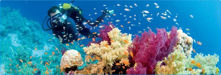 Sharm El Sheikh boasts the widest array of fun, exciting and even crazy water and extreme sports: besides diving,