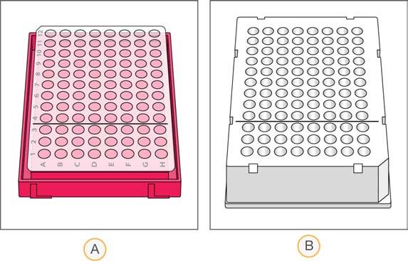 } Add 2.5 µl of the appropriate/desired index adapter individually to each well of the plate containing a sample, using a single channel pipette.