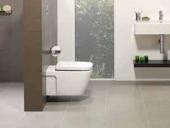 lines of contemporary bathroom elements such as toilet suites. Visit caroma.