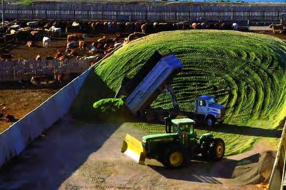 Collateral benefit - Silage Preparation & Storage Silage Pile Horizontal Silo s (Bunkers) India s current fodder consumption (green + dry) is around 1 billion MT.