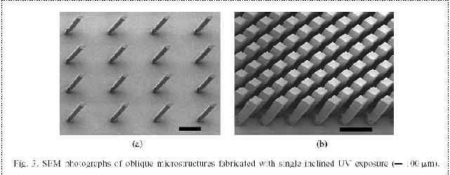 SU-8 Inclined Lithography - 1 TRACE = 100 µm From: Manhee Han, Woonseob Lee, Sung- Keun Lee, Seung S