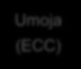 becomes vendor upon contract awarding HQ UNGM Commercial Suppliers Umoja (SRM) Business Partners Umoja (ECC) New