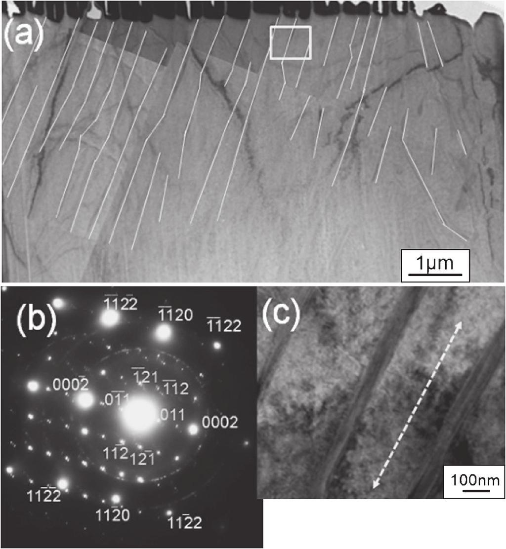 Crystallographic Orientation Relationship between Discontinuous Precipitates and Matrix in Commercial AZ91 Mg Alloy 343 Fig. 6 Reconstructed images of one DP in the rolled alloy aged for 1.8 ks.