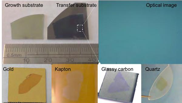 Transferred 2D TMDC Films and Flakes Overview 2dlayer s transferred 2D transition metal dichalcogenide (TMDC) materials, including films and flakes, provides samples on versatile substrates.