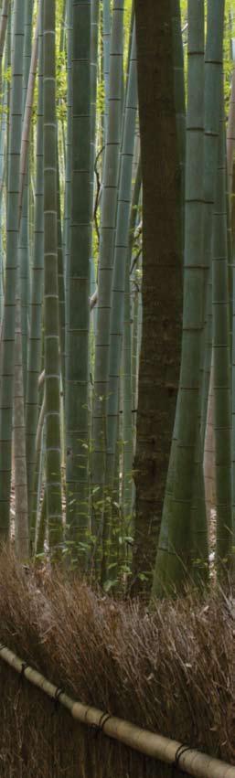 Sustainability Genesis Bamboo is FSC certified and produced from rapidly renewable Moso Bamboo which grows to maturity in 5-6 years.