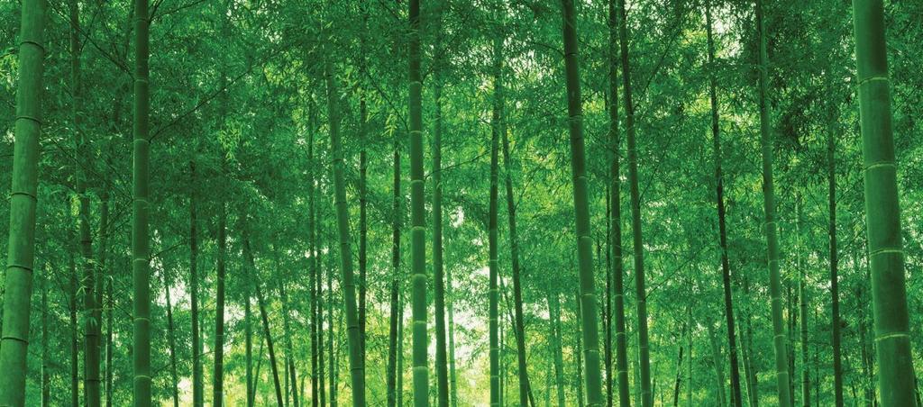 How you Benefit Plantation bamboo flooring is specially made for the temperate New Zealand climate and environment.