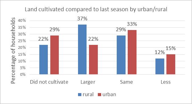 Figure 21: Cultivated area 4.1.2. ROLES IN CROP PRODUCTION BY GENDER In the rural and urban settings; ploughing, planting and cultivation seemed to be carried out mostly by men and boys.