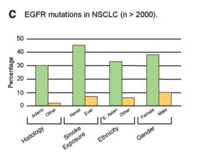 EGFR Mutation and Copy Number in NSCLC Shigematsu and Gazdar, Int J Cancer, 2006;118:257 EGFR