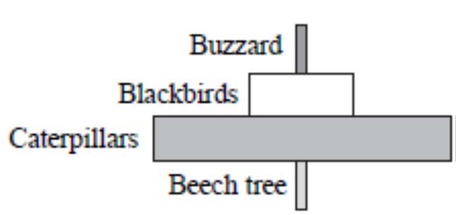 12. (a) The diagram shows the pyramid of numbers for a food chain found in a wood.