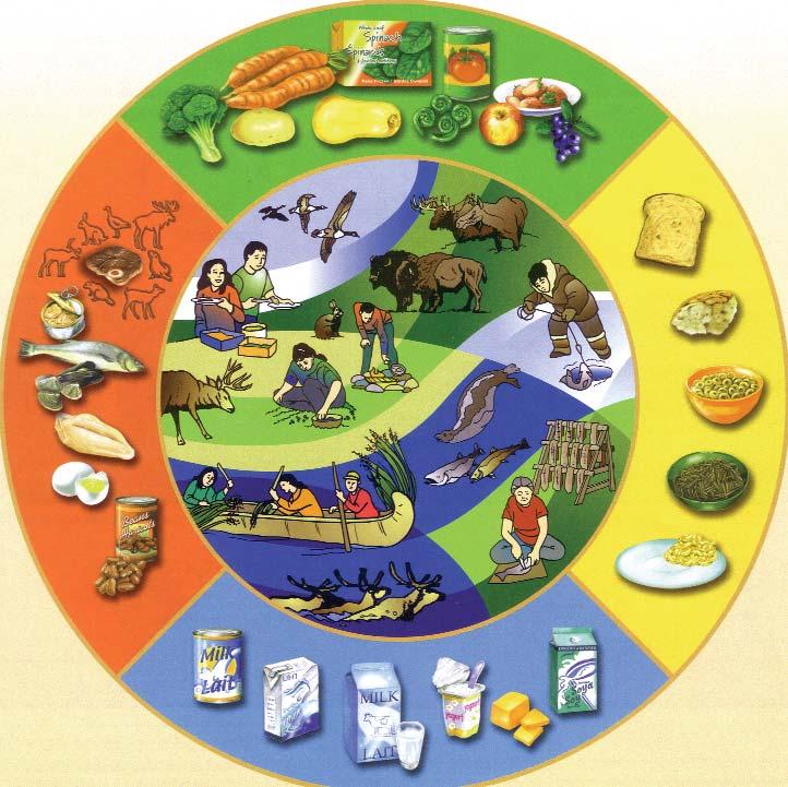 Eating Well with Canada s Food Guide First Nations, Inuit and Métis Health Canada introduced a new food guide tailored to meet the needs and include the traditional foods of Canada's aboriginal