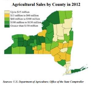 CHAPTER 3 THE AGRICULTURAL ECONOMY IN GENESEE COUNTY Genesee County is one of the most diverse and productive agricultural counties in New York State.