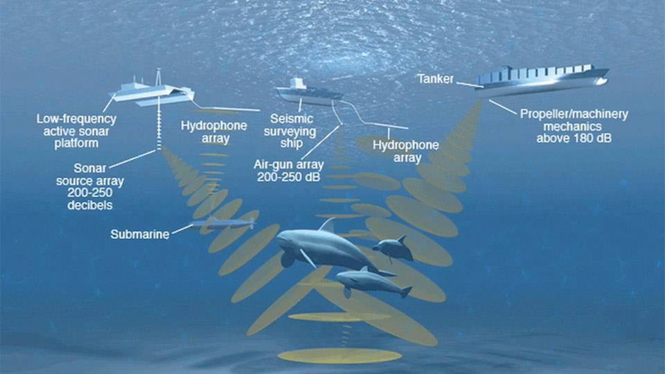 Active Underwater Acoustic Energy Transmission Active Underwater Acoustic Energy Any acoustic signal (sound) intentionally emitted into the water.