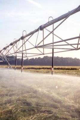 Irrigation can be applied to seed crops only when needed in dry climates.