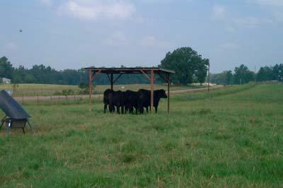 Includes: integrated pest management, rotational grazing, soil