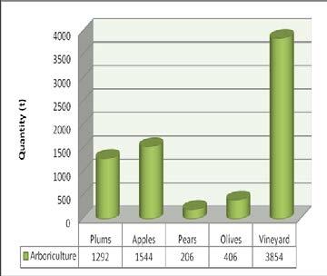 0,86 Olives 796 812 50 406 6090 1,70 Vineyard 17129 4282 90 3854 57810 16, 06 * Source: Monstat 2015. Fig.1. Structure of field crop production Fig.
