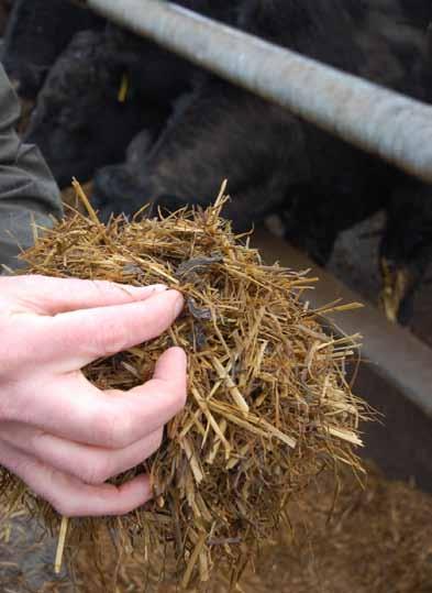 Ensuring that the silage is well preserved is also essential if the nutritive value of the silage is to be fully realised. Preservation is a process that takes place under air free conditions.