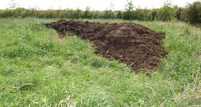 25 tonnes of organic chicken layer manure Granulated lime Unlike FYM, slurry contains a significant amount of N that is immediately available for plant uptake.