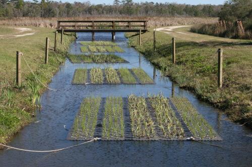 Expansions of SW Wetland Technology Floating