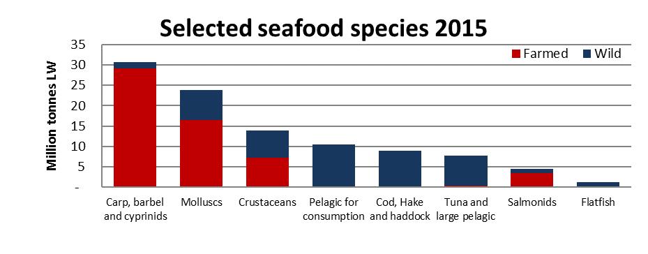 Even with an increase in production of Atlantic salmon of more than 800% since 1990, the total global supply of salmonids is still marginal compared to most other seafood categories (4.