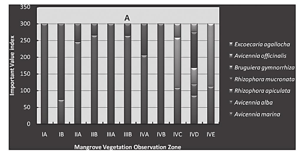 132 CMU.J.Nat.Sci.Special Issue on Agricultural & Natural Resources (2012) Vol.11 (1) Figure 6. Histogram of importance value index of mangrove at tree (A) and saplings (B) levels.
