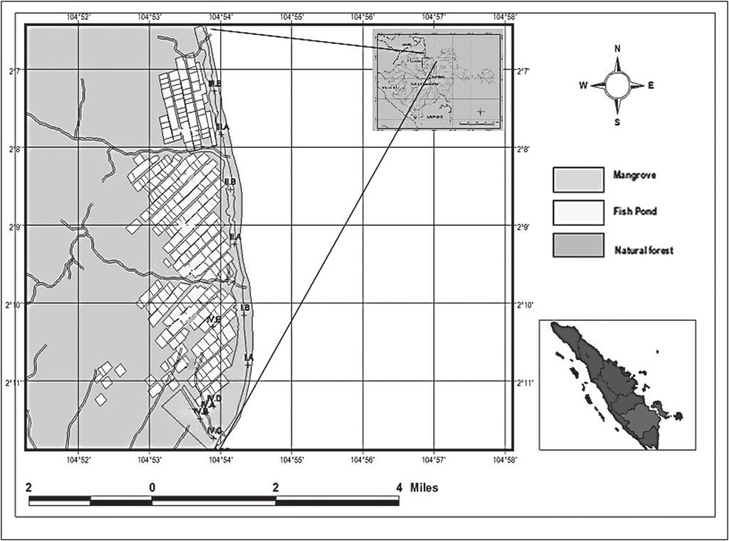 CMU.J.Nat.Sci.Special Issue on Agricultural & Natural Resources (2012) Vol.11 (1) 125 Figure 1.
