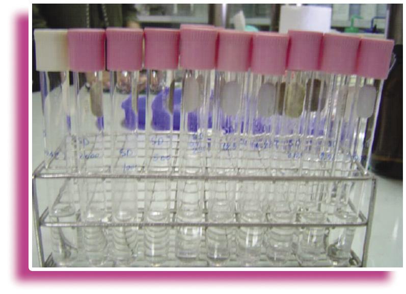 34 CHAPTER 3. Minimal Inhibitory Concentration (MIC) Test and Determination of Antimicrobial Resistant Bacteria 4 Dispense the stock solution into sterile diluent using two-fold dilution technique.