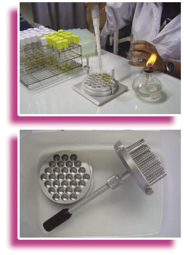 obtain the desired concentration of 10 6 cfu/ml. 4 Pipette 0.1 ml of the 10 6 cfu/ml inoculum and transfer to a well, of a multi-dispenser containing 0.