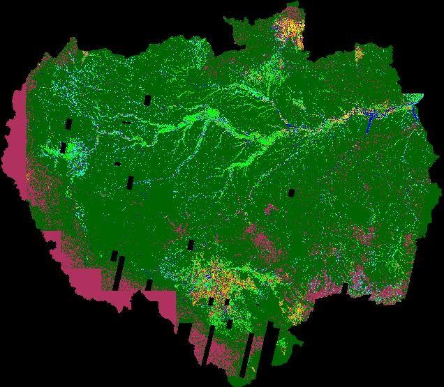 Floodplain surface area estimation for the whole Amazon
