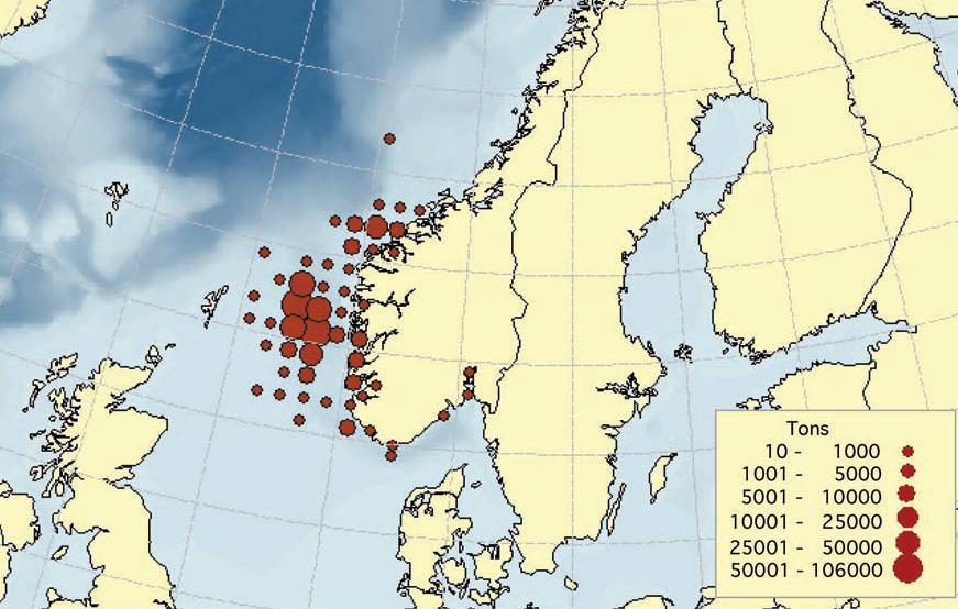 83 Figure 5.1: Location of Norwegian mackerel harvest, 2004 This gure is known to all market participants, and the remaining quota is published on a daily basis during the season.