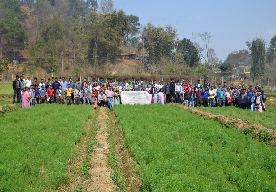 A total of 125 farmers across 5 villages of Meghalaya participated in the programme. The programme was started with the interaction of Dr. Anup Das, Head, Division of Crop Production with the farmers.