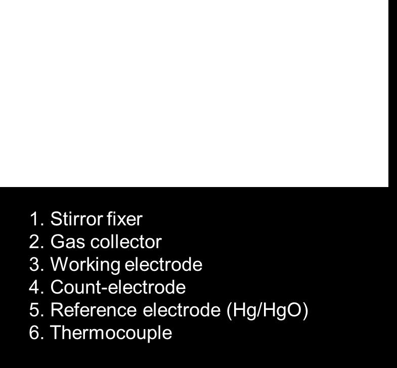 Electrode area: 4 cm 2 ; Cathode: