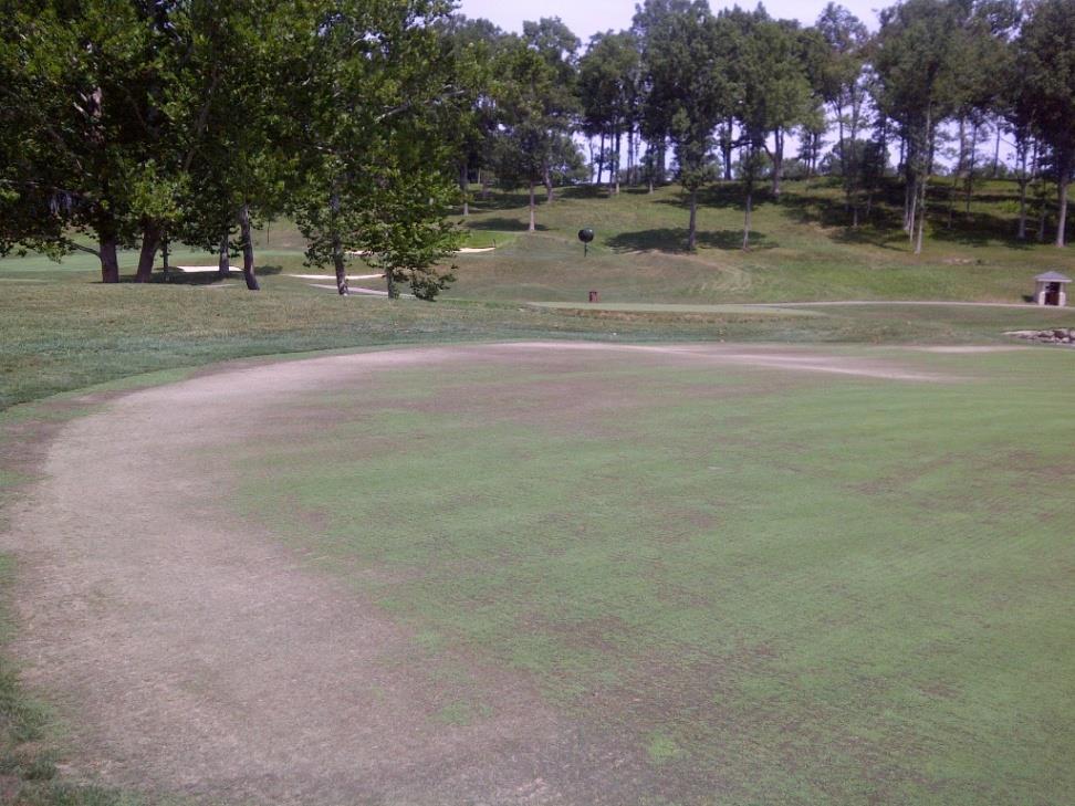 There are many reasons to consider green renovation from a superintendent s standpoint Frequent turf loss Poor recovery
