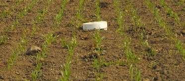 Sites» Commercial fields» Range of soils, climates and