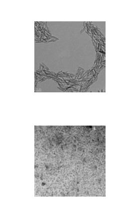 Samples: S1: Alumina nanorods in de-ionized water (1 vol.%) S2: Alumina nanoparticles (1 vol.%) in PAO + surfactant S3: Alumina nanoparticles (3 vol.