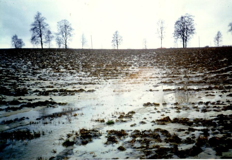 25 mm January 31 Runoff: 77 mm Soil
