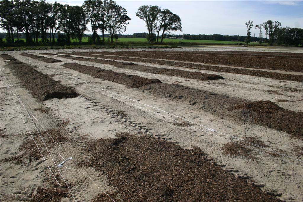 Soil Management Experiment Plant Science