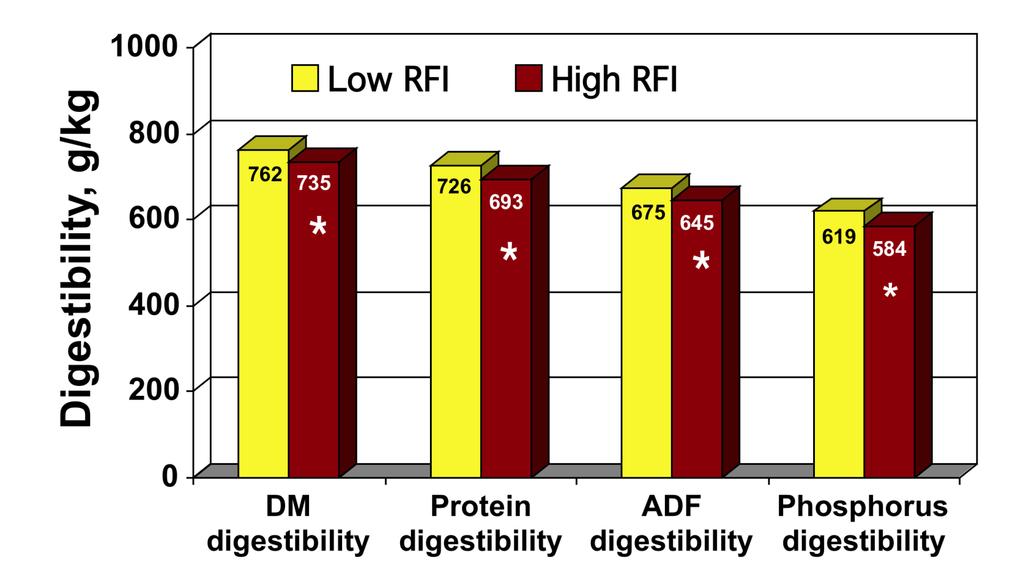 Genetic merit for feed efficiency Impact of RFI on nutrient digestibility Krueger et al.