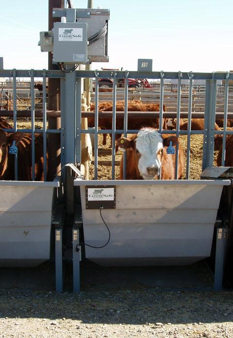 Adoption of feed efficiency technologies Barriers to adoption Costs to measure intake expensive even with GrowSafe technology More test facilities to measure feed intake in cattle are needed Need